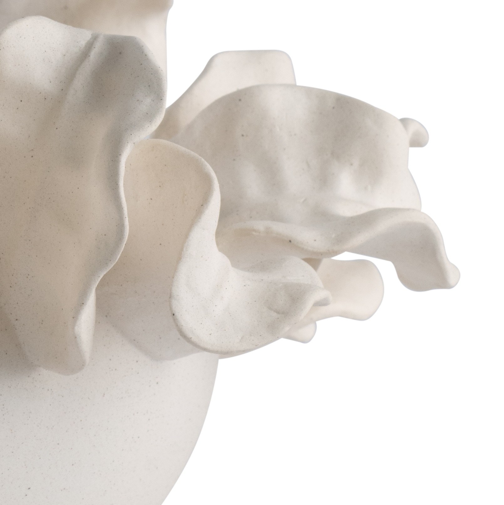 solana-white-ceramic-bowl-closeup-7226